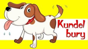 „KUNDEL BURY – FAJNY PIES!”