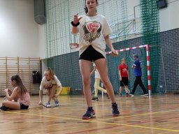 Ostrzeszowska Liga Badmintona